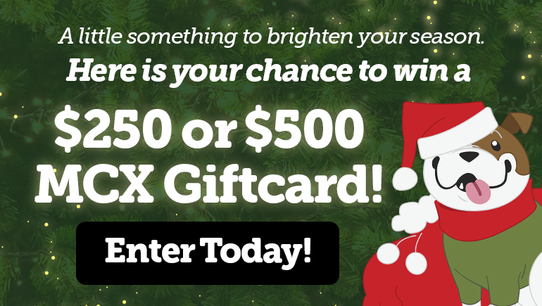 Tree Lighting Celebration Giveaway
