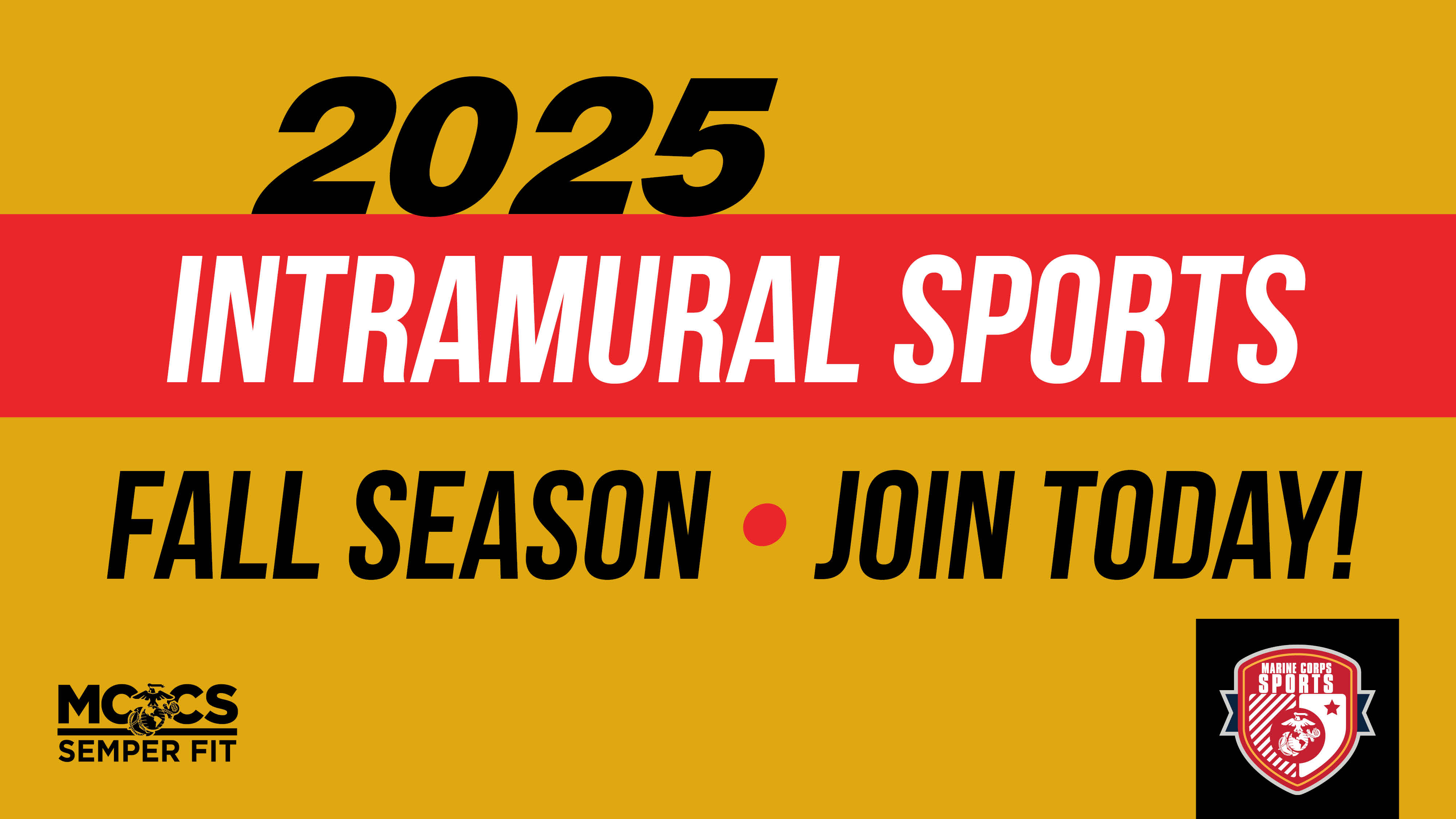 Intramural Sports: Pickleball Tournament